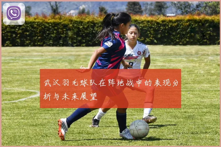 武汉羽毛球队在阵地战中的表现分析与未来展望