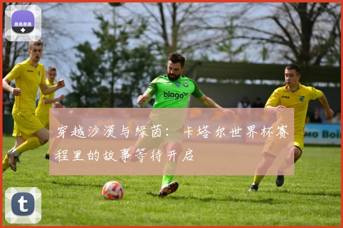 穿越沙漠与绿茵：卡塔尔世界杯赛程里的故事等待开启